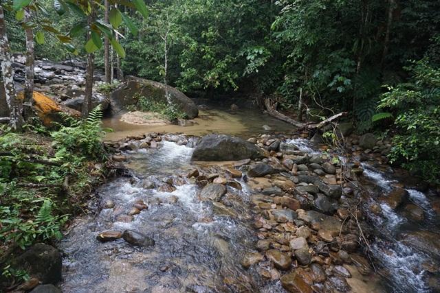 Image result for Air Terjun Sungai Bantang, Bekok